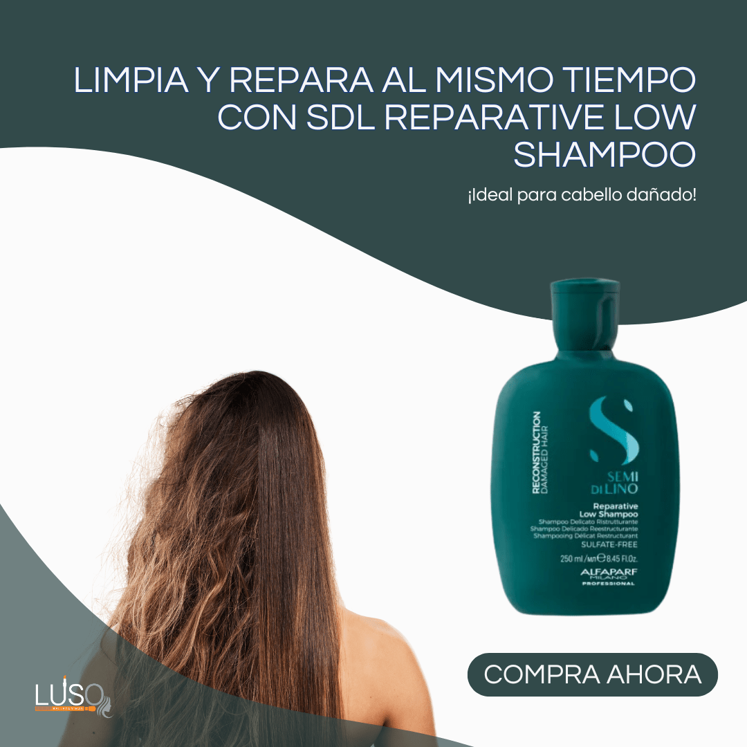 1012040037 CAJA SDL RECON.AMPOLLAS REPARATIVAS 6x13ML (2) PF025121 SDL REPARATIVE LOW SHAMPOO 250 ML - Imagen 1