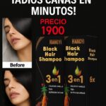 SHAMPOO CUBRE CANAS 3 EN 1 HANGYI NEGRO